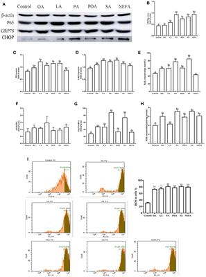 Lipid Accumulation and Injury in Primary Calf Hepatocytes Challenged With Different Long-Chain Fatty Acids